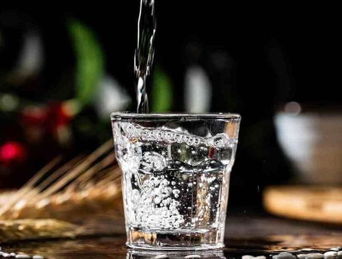 酒桌上備受歡迎的三款中檔糧食酒，約60元價位，口感回味無窮